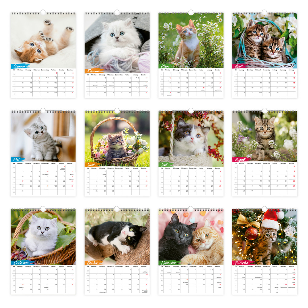 Weitere Ansicht: TRÖTSCH - Notizkalender zum Hängen Katzen 2027