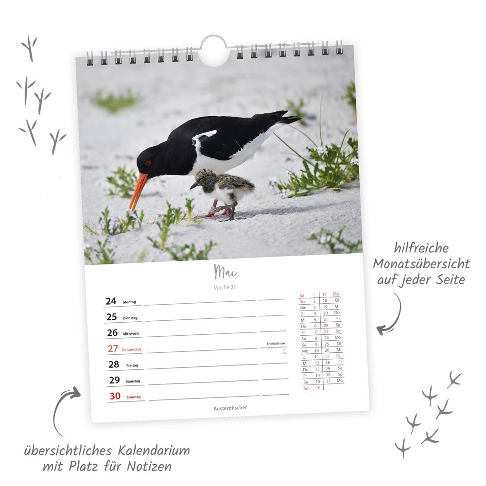 Weitere Ansicht: TRÖTSCH - Wochenkalender zum Hängen Heimische Vögel 2027