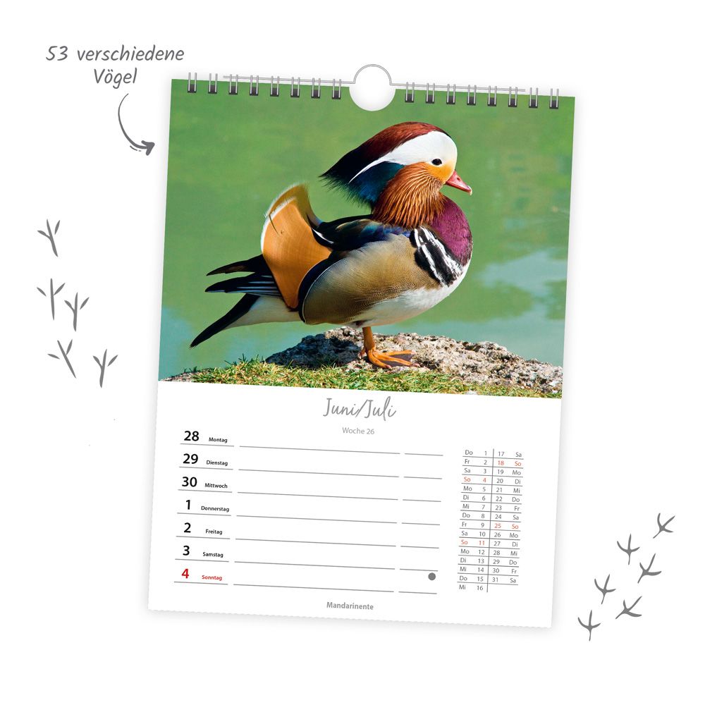 Weitere Ansicht: TRÖTSCH - Wochenkalender zum Hängen Heimische Vögel 2027