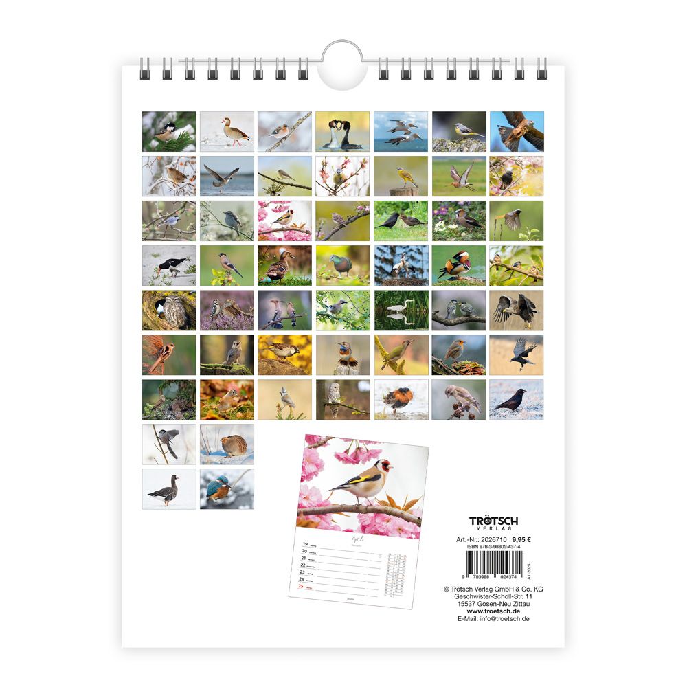 Weitere Ansicht: TRÖTSCH - Wochenkalender zum Hängen Heimische Vögel 2027
