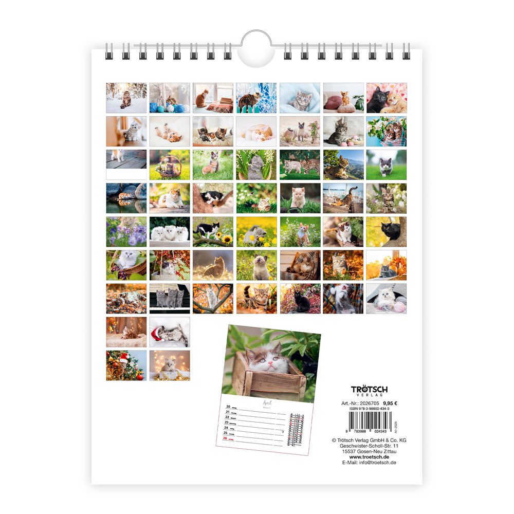 Weitere Ansicht: TRÖTSCH - Wochenkalender zum Hängen Katzen 2027