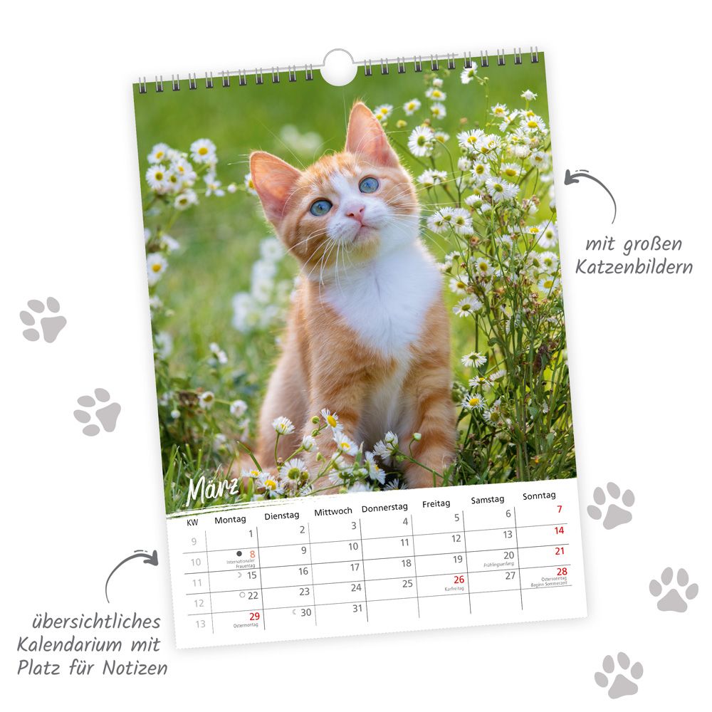 Weitere Ansicht: TRÖTSCH - Classickalender Liebste Katzen 2027