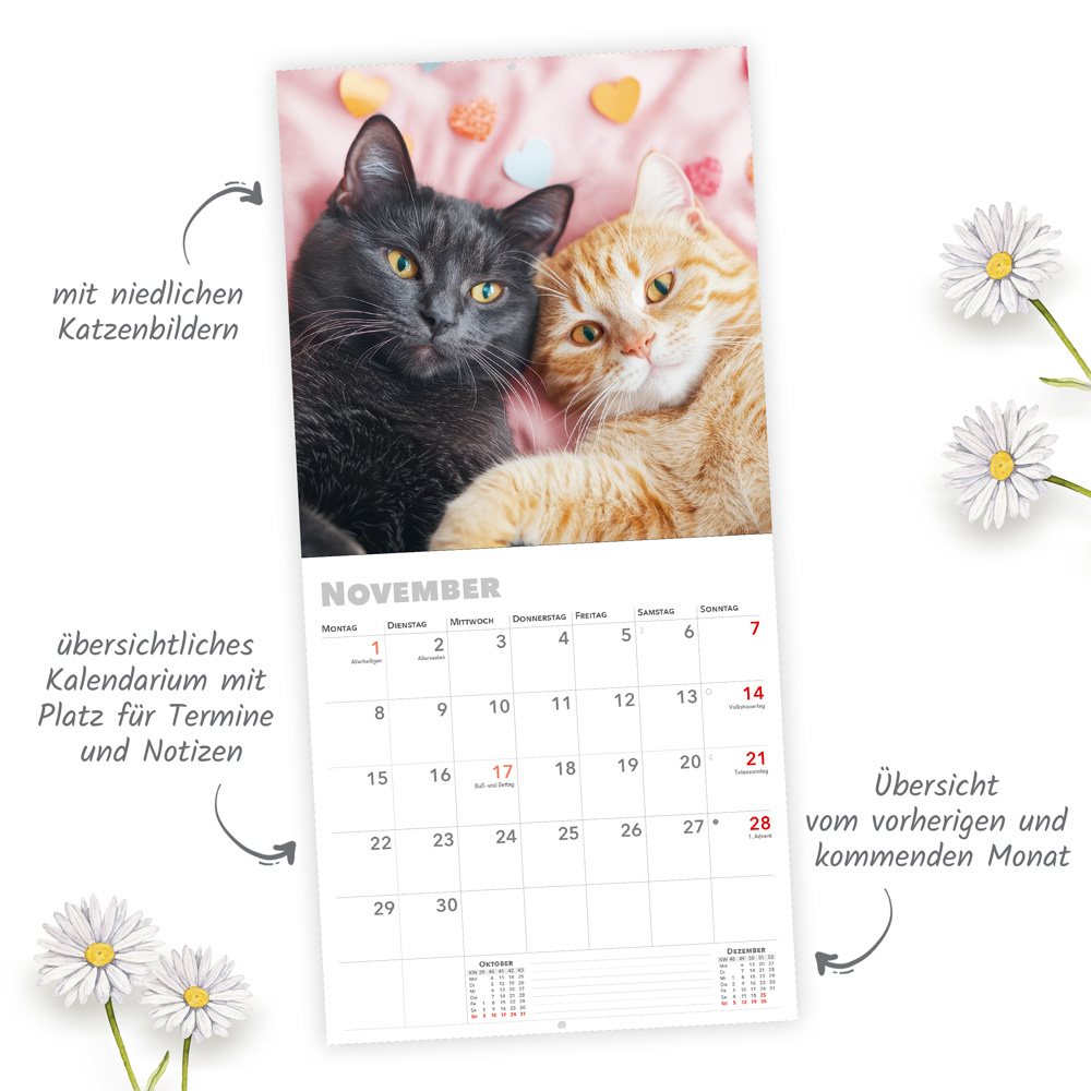 Weitere Ansicht: TRÖTSCH - Broschürenkalender Katzen 2027