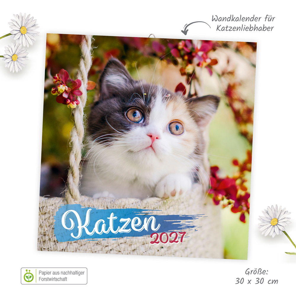 Weitere Ansicht: TRÖTSCH - Broschürenkalender Katzen 2027