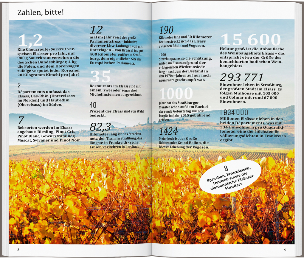 Weitere Ansicht: DUMONT direkt Reiseführer Elsass | Gabriele Kalmbach