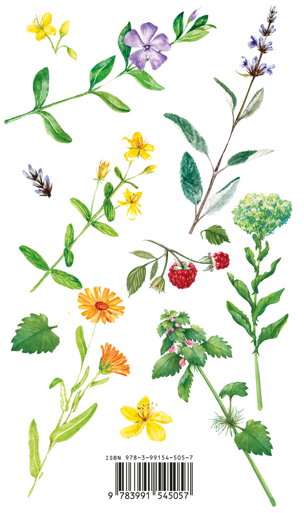 Weitere Ansicht: KOMPASS Naturführer Heilpflanzen, der handliche Begleiter in die Natur | Christine Jaitner