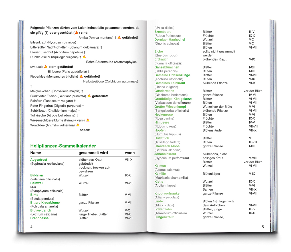 Weitere Ansicht: KOMPASS Naturführer Heilpflanzen, der handliche Begleiter in die Natur | Christine Jaitner