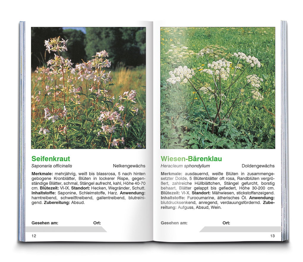 Weitere Ansicht: KOMPASS Naturführer Heilpflanzen, der handliche Begleiter in die Natur | Christine Jaitner