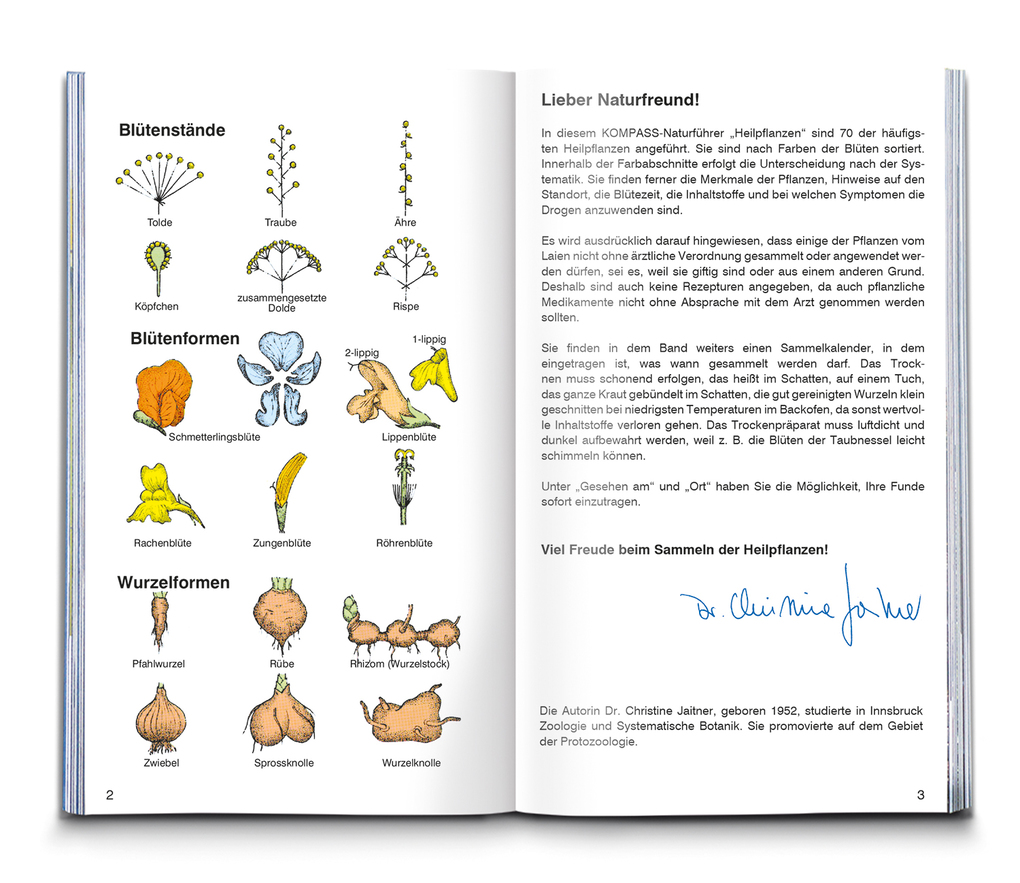Weitere Ansicht: KOMPASS Naturführer Heilpflanzen, der handliche Begleiter in die Natur | Christine Jaitner