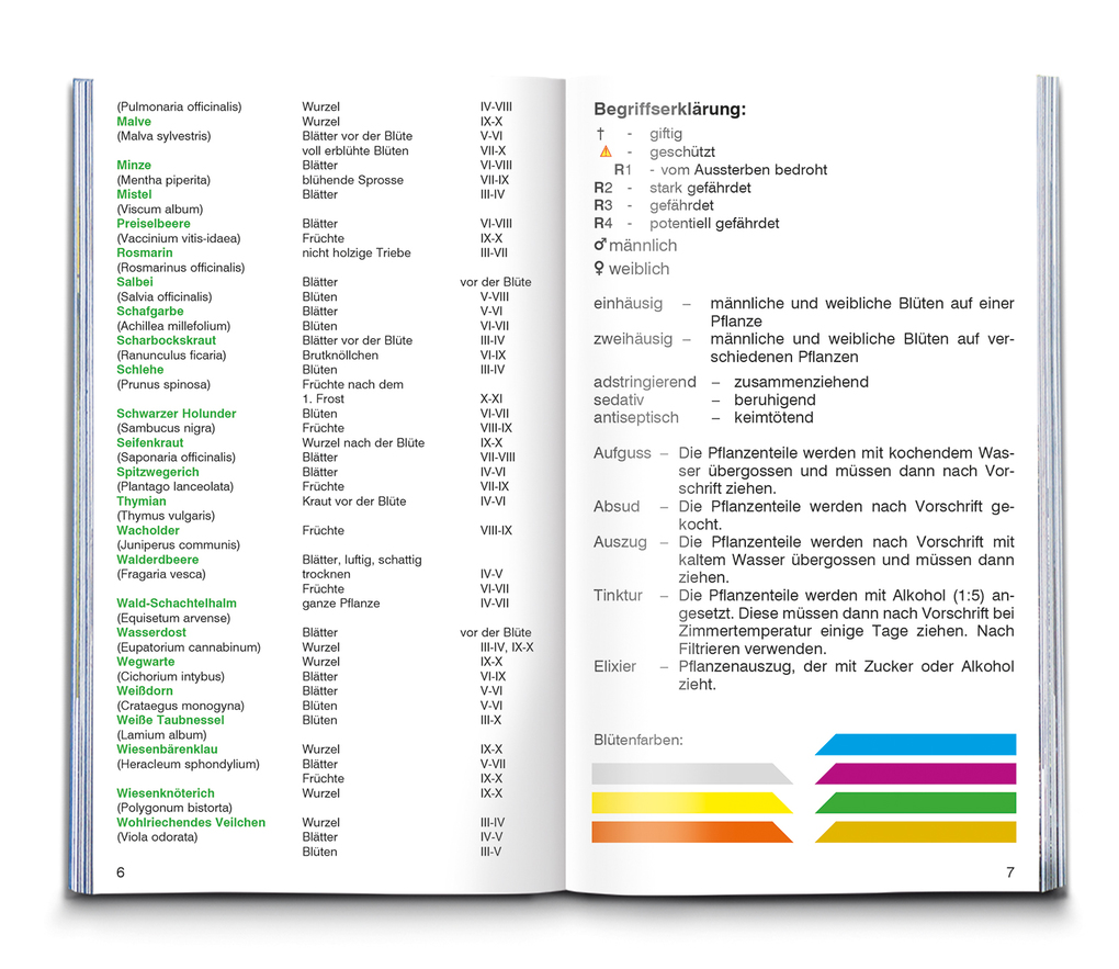 Weitere Ansicht: KOMPASS Naturführer Heilpflanzen, der handliche Begleiter in die Natur | Christine Jaitner
