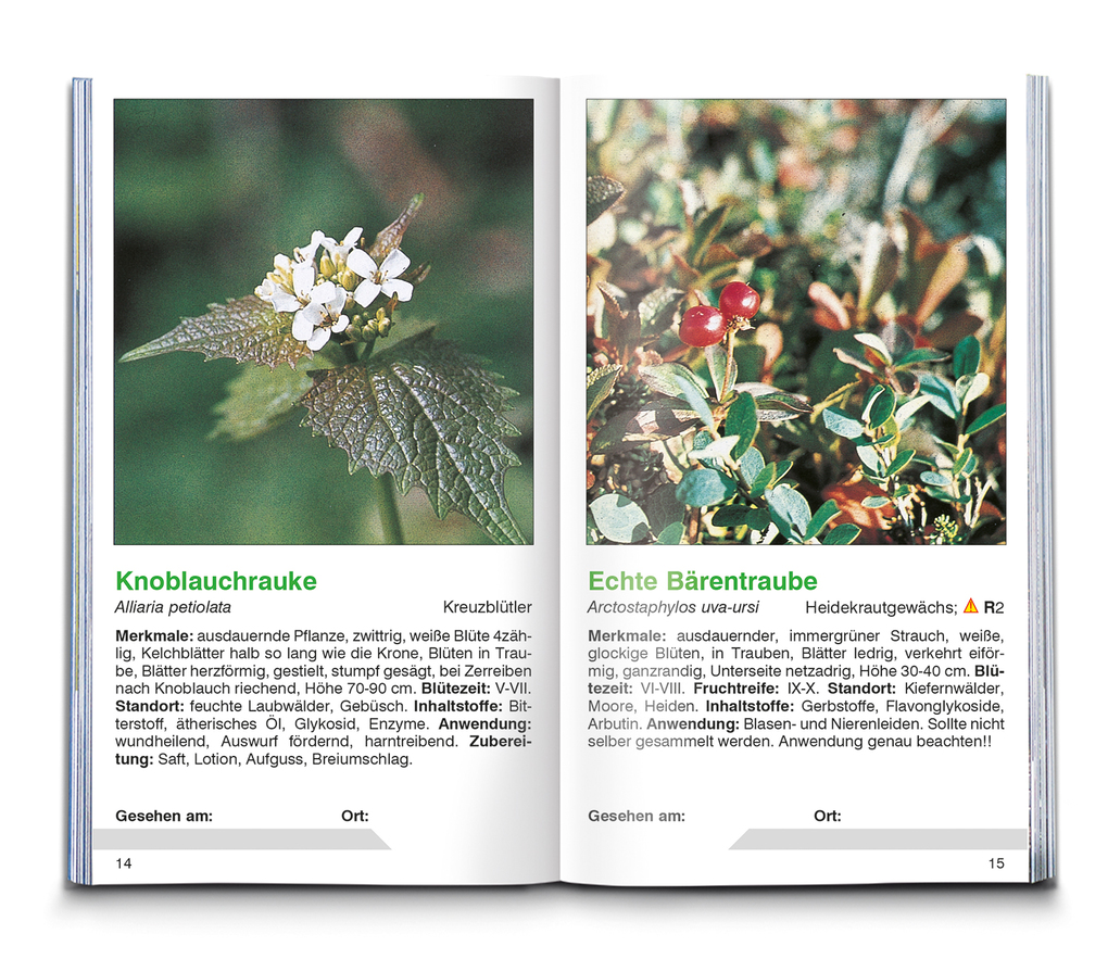 Weitere Ansicht: KOMPASS Naturführer Heilpflanzen, der handliche Begleiter in die Natur | Christine Jaitner