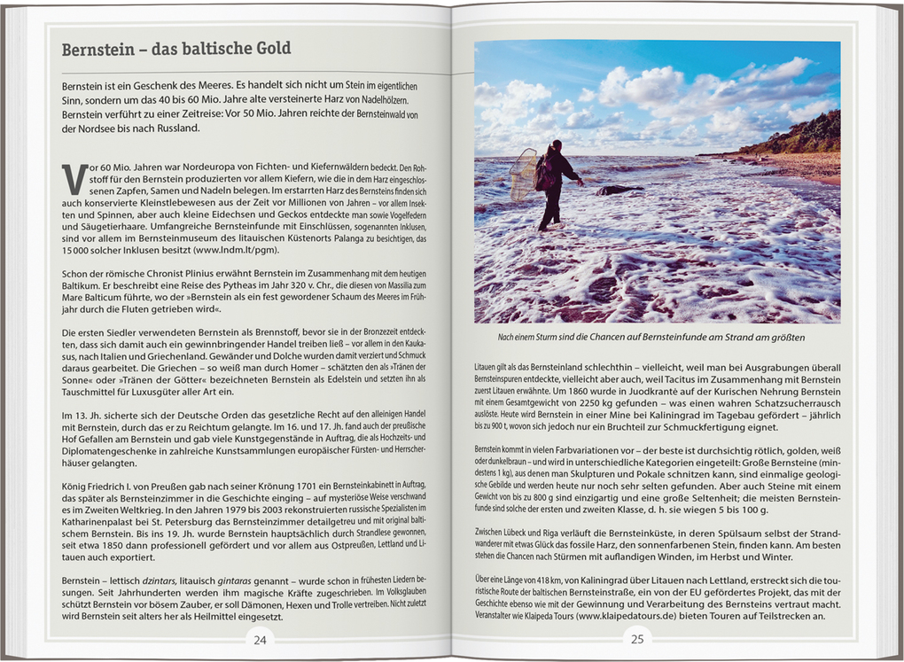 Weitere Ansicht: DUMONT Reise-Handbuch Reiseführer Baltikum | Christiane Bauermeister, Eva Gerberding, Christian Nowak