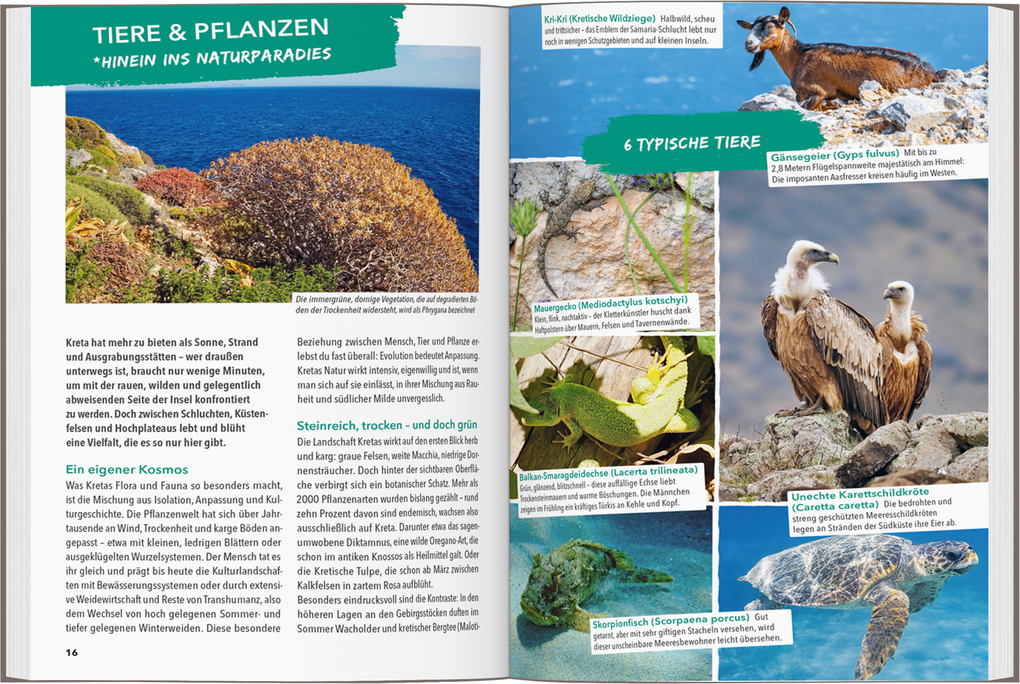 Weitere Ansicht: MARCO POLO OUTDOOR GUIDE Reiseführer Kreta | Jörg Dauscher