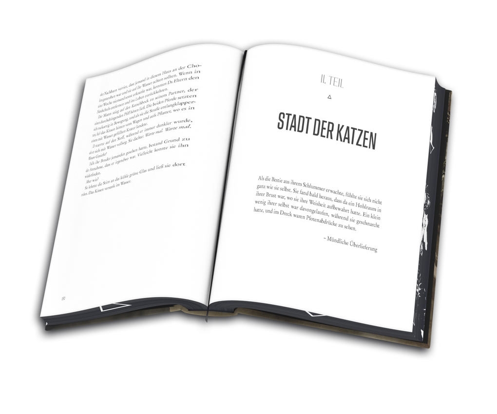 Weitere Ansicht: DIE KURATORIN | Owen King