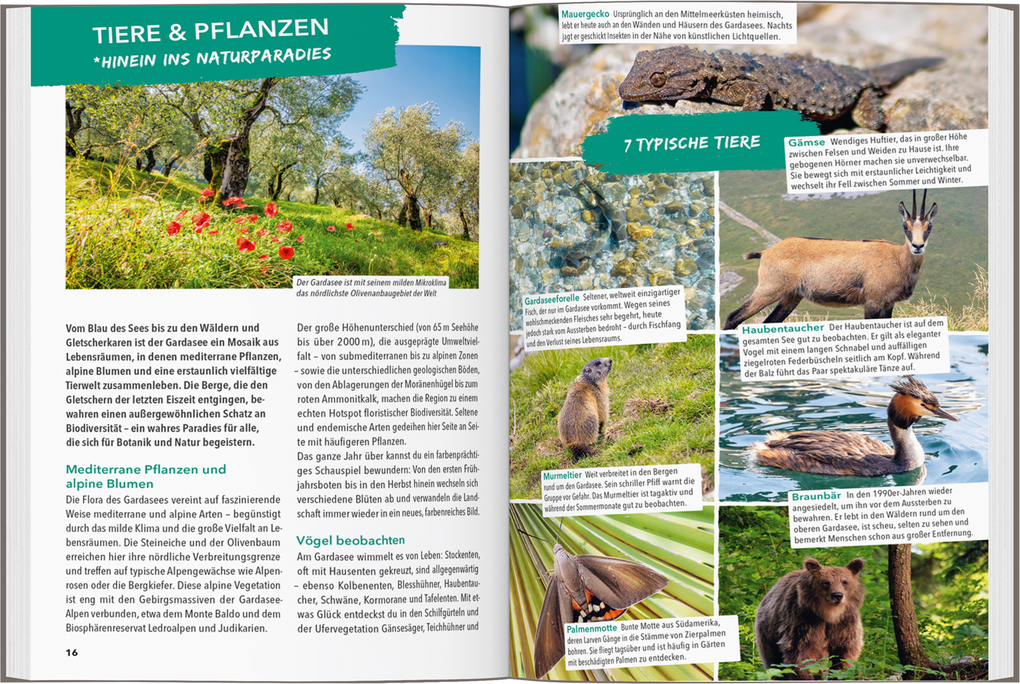 Weitere Ansicht: MARCO POLO OUTDOOR GUIDE Reiseführer Gardasee | Angela Trawoeger