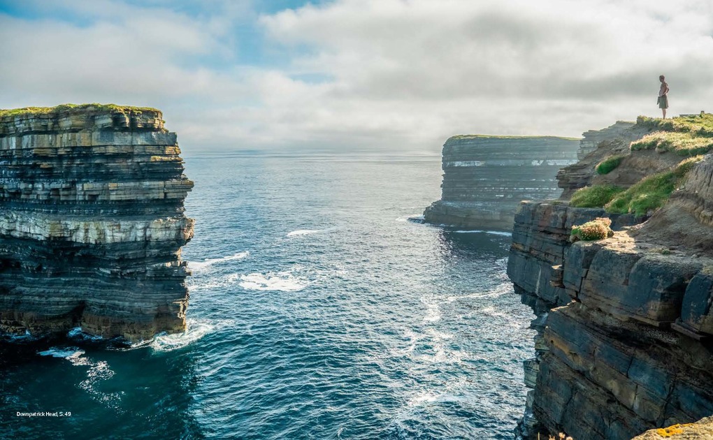 Weitere Ansicht: Wild Guide Irland - Der Westen | Candida Frith-Macdonald