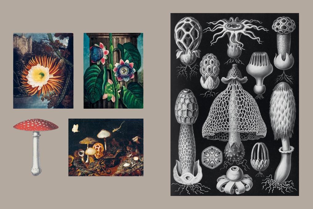 Weitere Ansicht: Gothica Sticker Book
