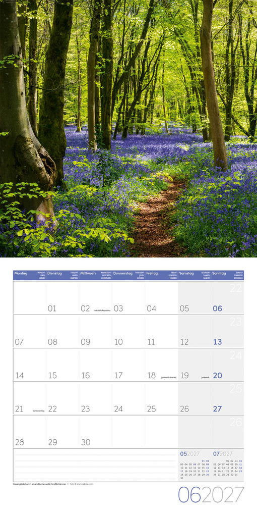 Weitere Ansicht: Traumpfade Kalender 2027 - 30x30 - Art12 | Ackermann Kunstverlag GmbH