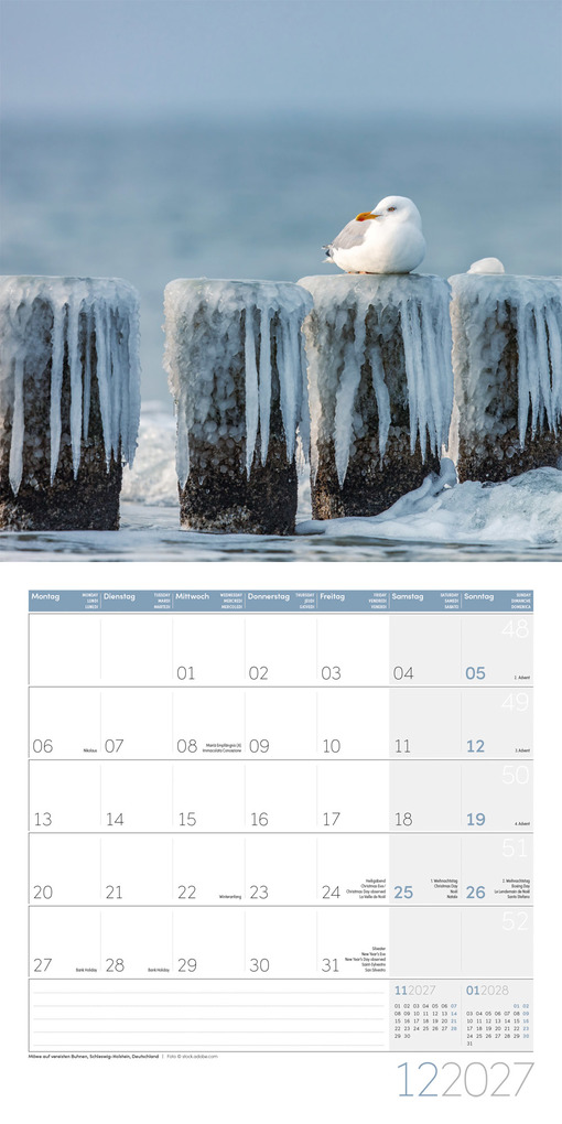 Weitere Ansicht: Am Meer Kalender 2027 - 30x30 - Art12 | Ackermann Kunstverlag GmbH