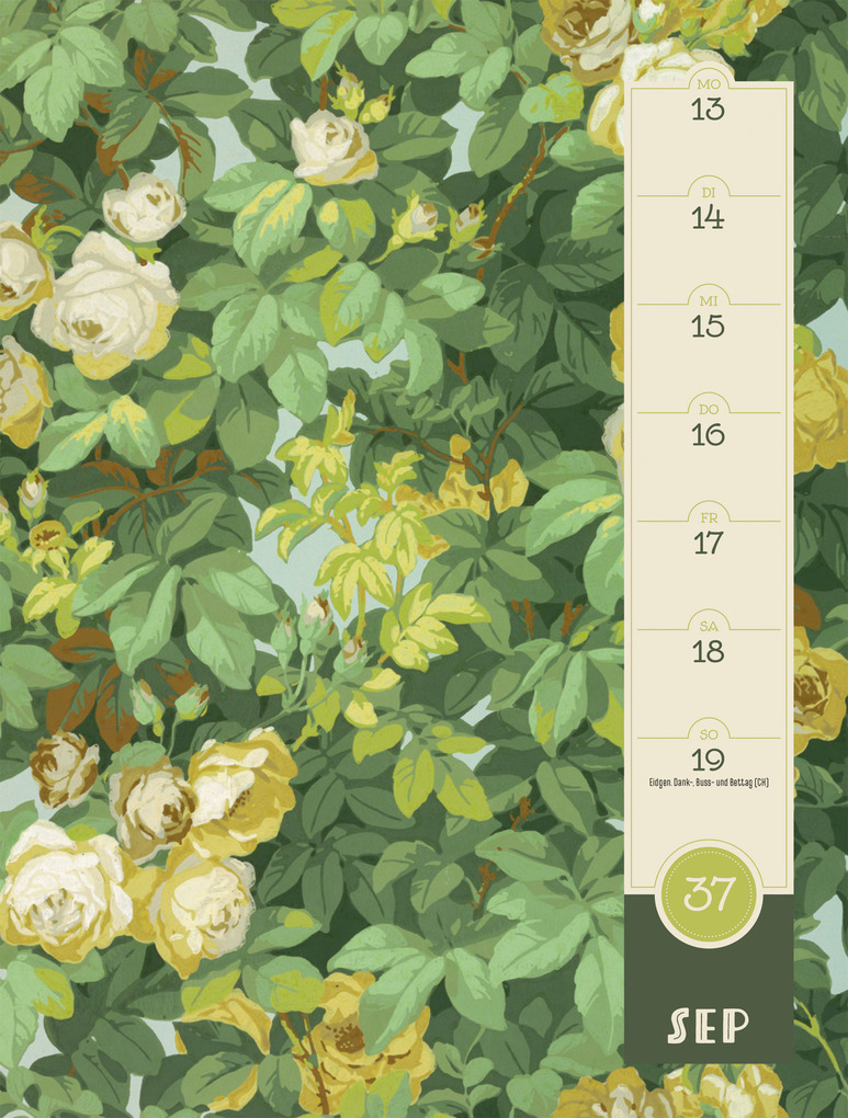 Weitere Ansicht: Patterns Wochenplaner Kalender 2027 | Ackermann Kunstverlag GmbH