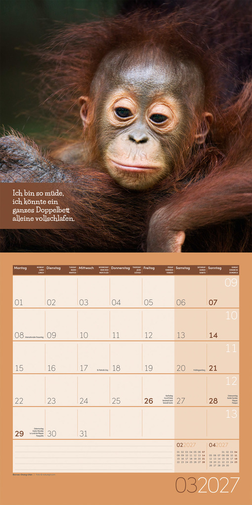 Weitere Ansicht: Keep Smiling Kalender 2027 - 30x30 - Art12 | Ackermann Kunstverlag GmbH