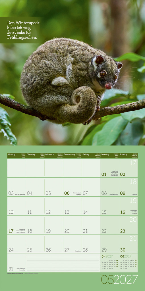 Weitere Ansicht: Keep Smiling Kalender 2027 - 30x30 - Art12 | Ackermann Kunstverlag GmbH