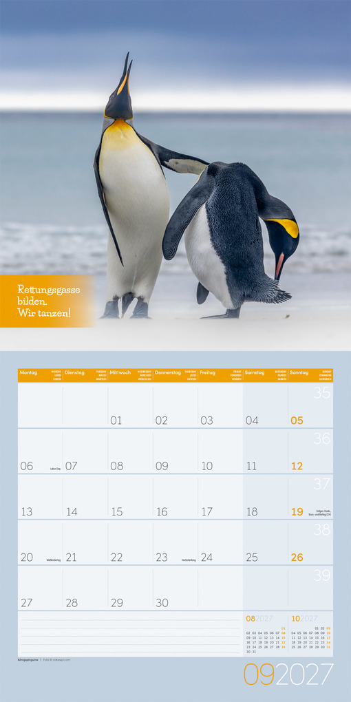 Weitere Ansicht: Keep Smiling Kalender 2027 - 30x30 - Art12 | Ackermann Kunstverlag GmbH