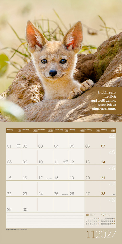 Weitere Ansicht: Keep Smiling Kalender 2027 - 30x30 - Art12 | Ackermann Kunstverlag GmbH