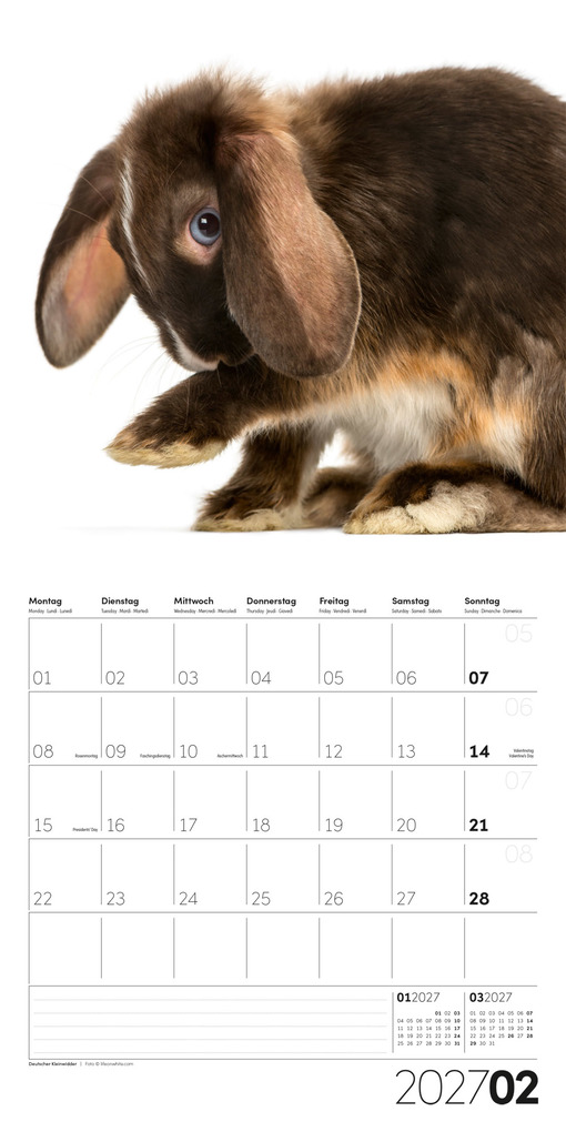 Weitere Ansicht: Animals Kalender 2027 - 30x30 - Art12 | Ackermann Kunstverlag GmbH