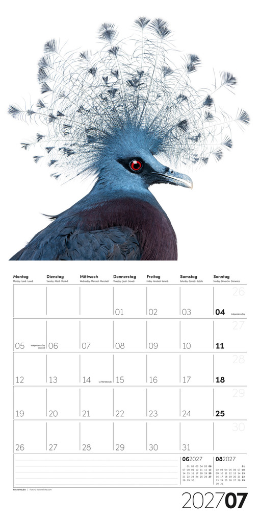 Weitere Ansicht: Animals Kalender 2027 - 30x30 - Art12 | Ackermann Kunstverlag GmbH