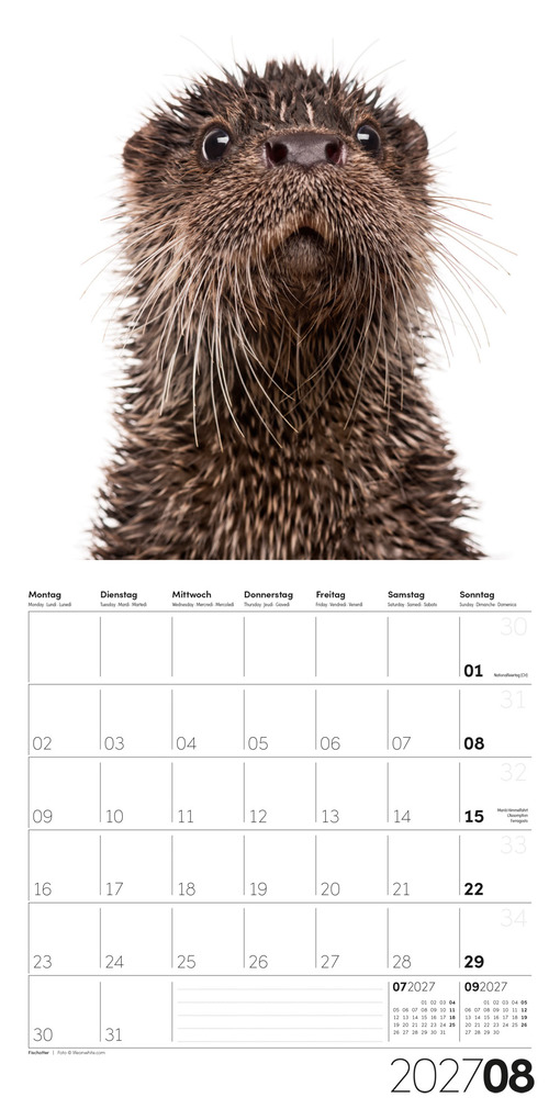Weitere Ansicht: Animals Kalender 2027 - 30x30 - Art12 | Ackermann Kunstverlag GmbH