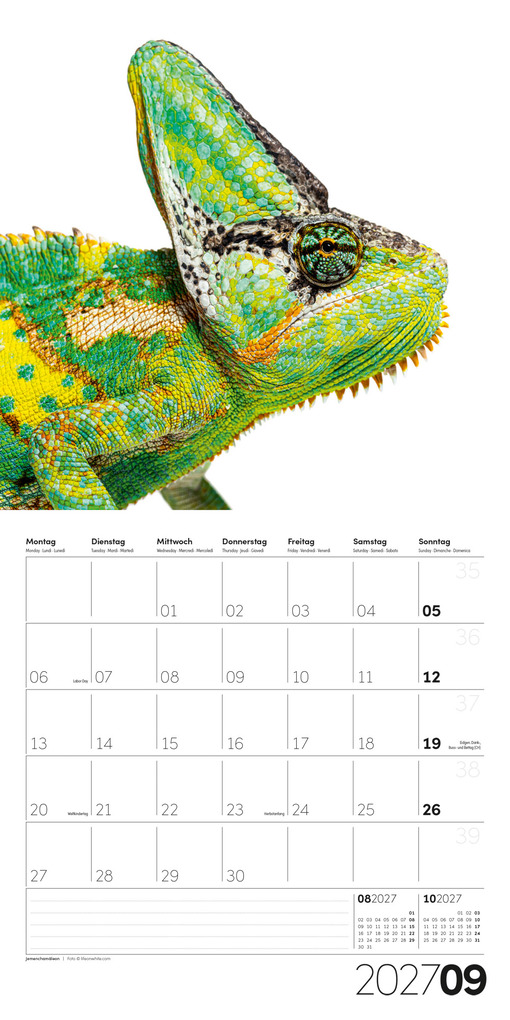 Weitere Ansicht: Animals Kalender 2027 - 30x30 - Art12 | Ackermann Kunstverlag GmbH