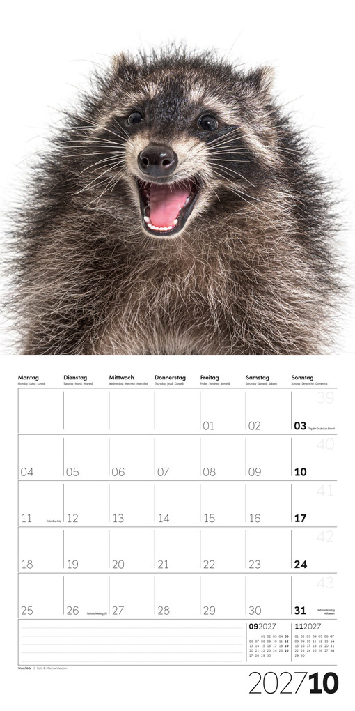 Weitere Ansicht: Animals Kalender 2027 - 30x30 - Art12 | Ackermann Kunstverlag GmbH