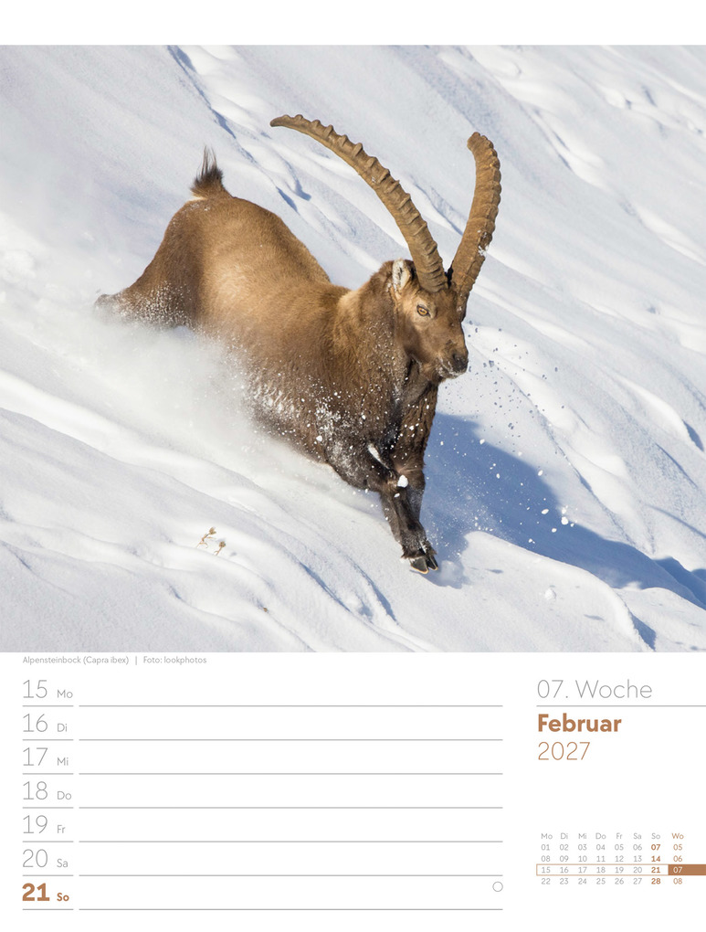 Weitere Ansicht: Faszination Alpenwelt Wochenplaner Kalender 2027 | Ackermann Kunstverlag GmbH