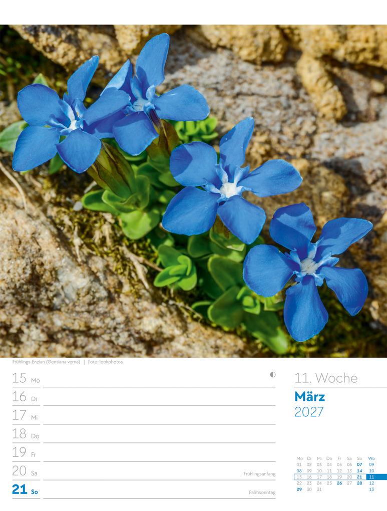 Weitere Ansicht: Faszination Alpenwelt Wochenplaner Kalender 2027 | Ackermann Kunstverlag GmbH