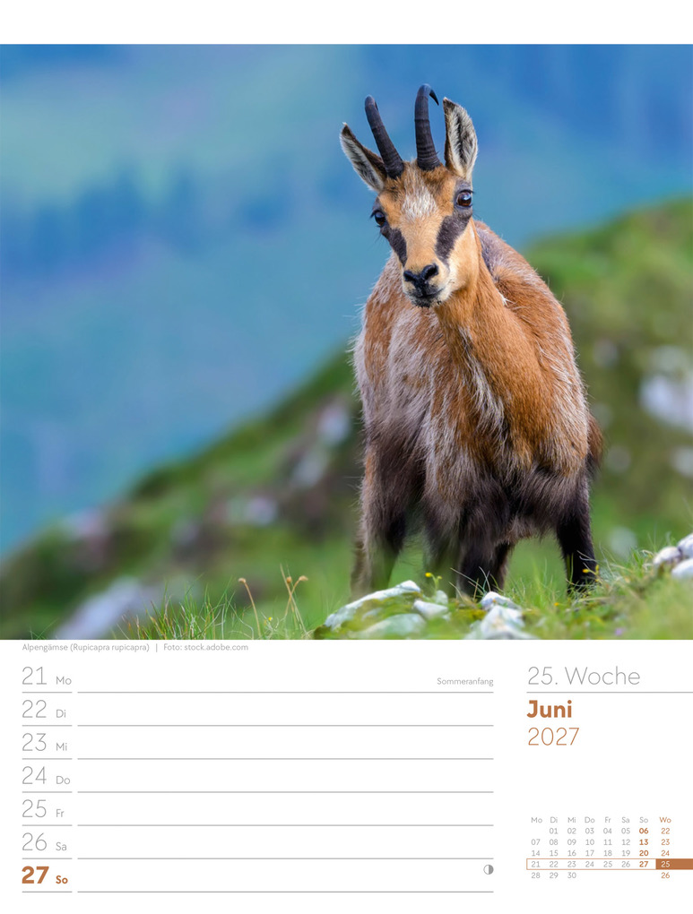 Weitere Ansicht: Faszination Alpenwelt Wochenplaner Kalender 2027 | Ackermann Kunstverlag GmbH