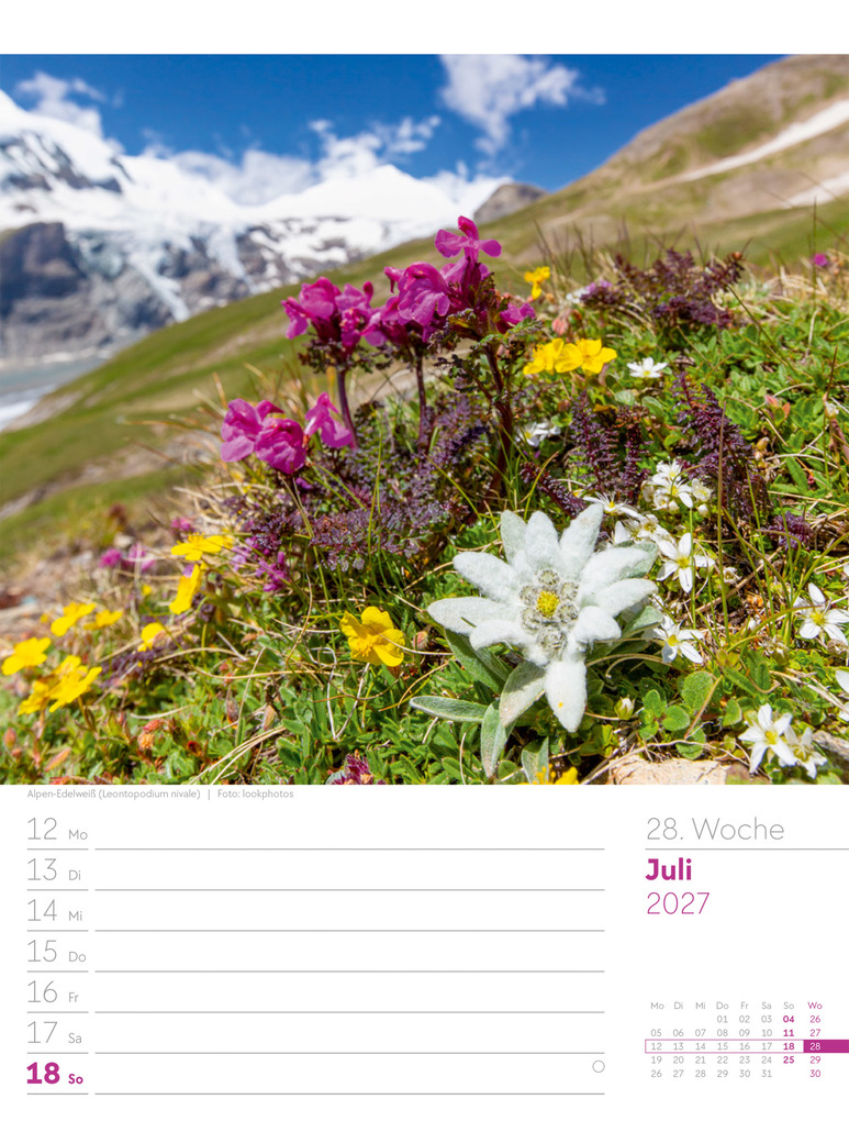Weitere Ansicht: Faszination Alpenwelt Wochenplaner Kalender 2027 | Ackermann Kunstverlag GmbH