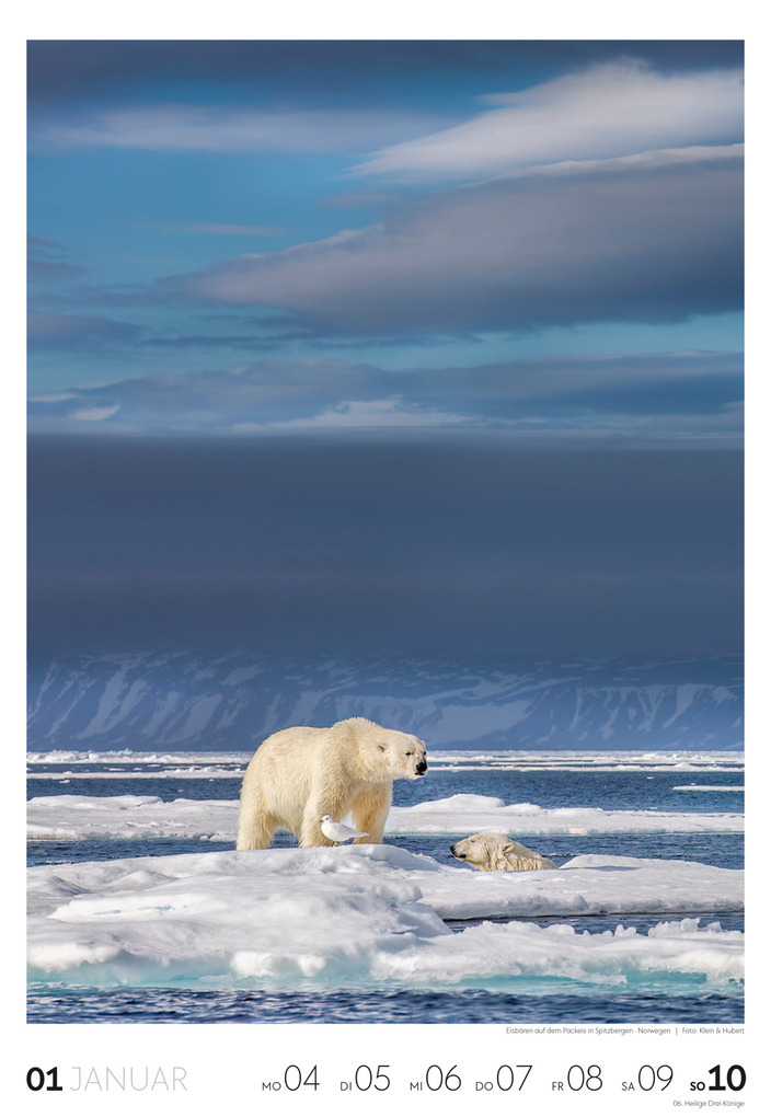 Weitere Ansicht: Reisen Wochenkalender 2027 | Ackermann Kunstverlag GmbH