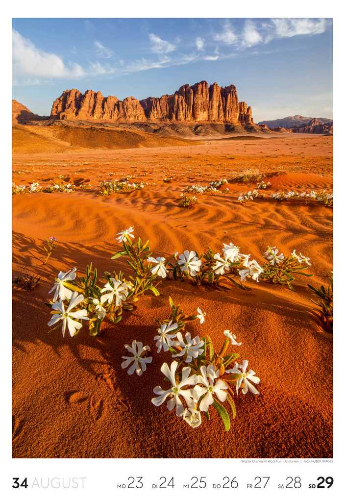 Weitere Ansicht: Reisen Wochenkalender 2027 | Ackermann Kunstverlag GmbH