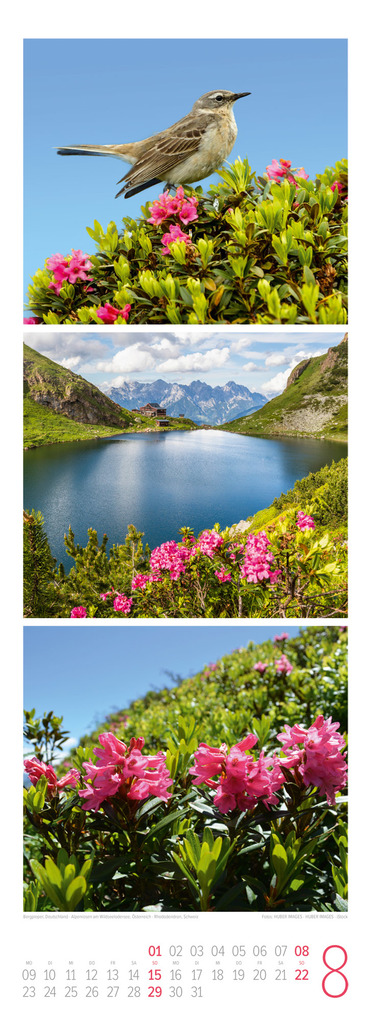 Weitere Ansicht: Bergzeit Triplet-Kalender 2027 | Ackermann Kunstverlag GmbH