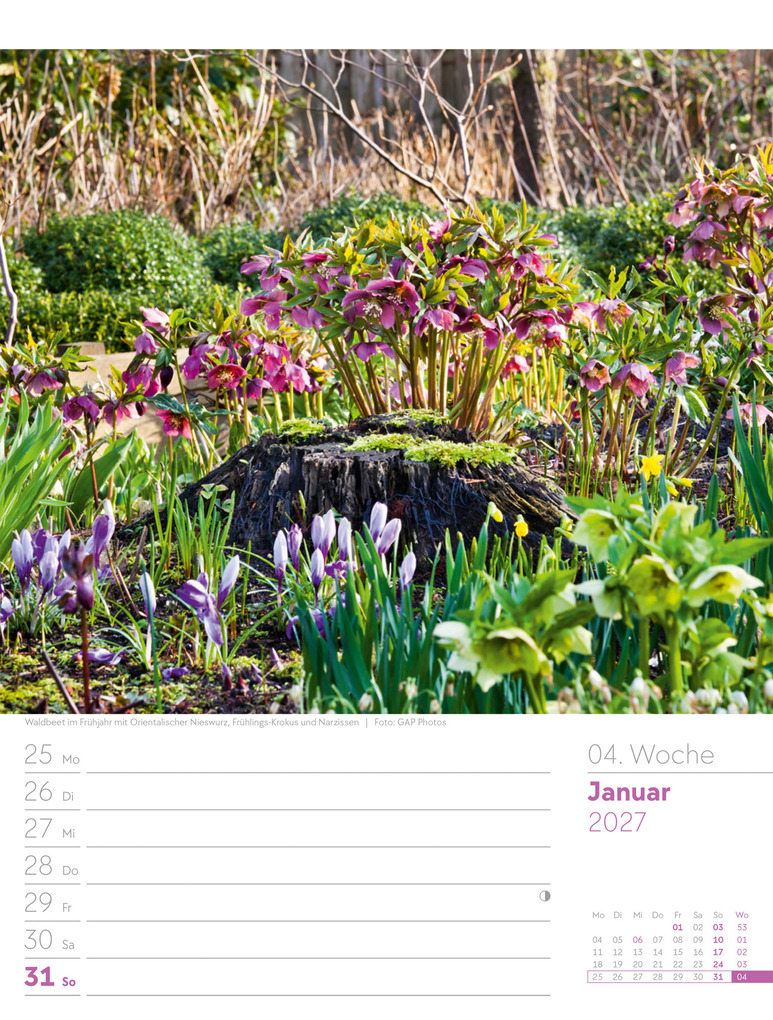 Weitere Ansicht: Gartenglück Wochenplaner Kalender 2027 | Ackermann Kunstverlag GmbH