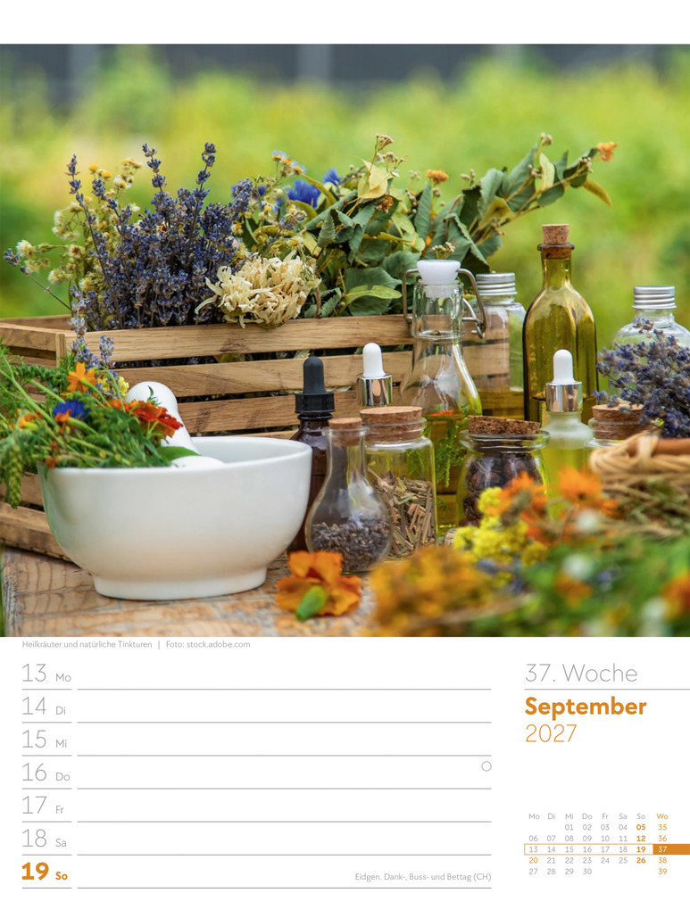 Weitere Ansicht: Gartenglück Wochenplaner Kalender 2027 | Ackermann Kunstverlag GmbH
