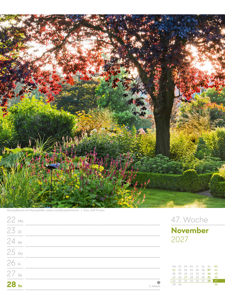 Weitere Ansicht: Gartenglück Wochenplaner Kalender 2027 | Ackermann Kunstverlag GmbH