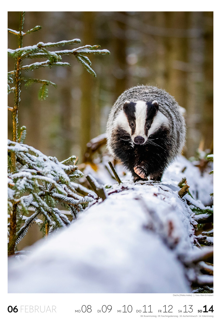 Weitere Ansicht: Natur Wochenkalender 2027 | Ackermann Kunstverlag GmbH