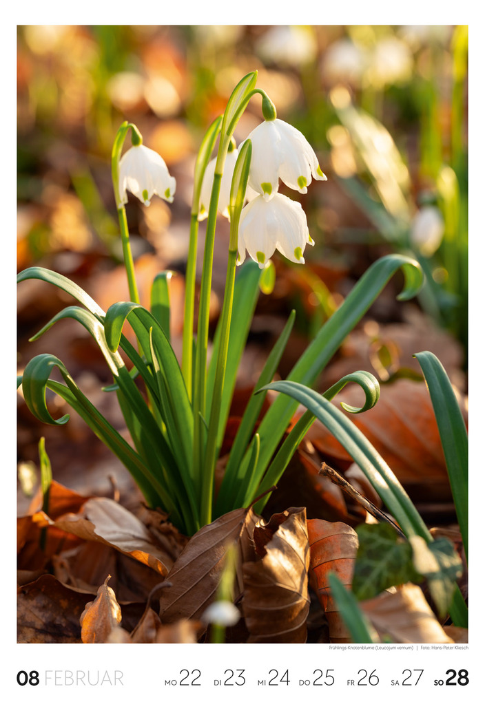 Weitere Ansicht: Natur Wochenkalender 2027 | Ackermann Kunstverlag GmbH