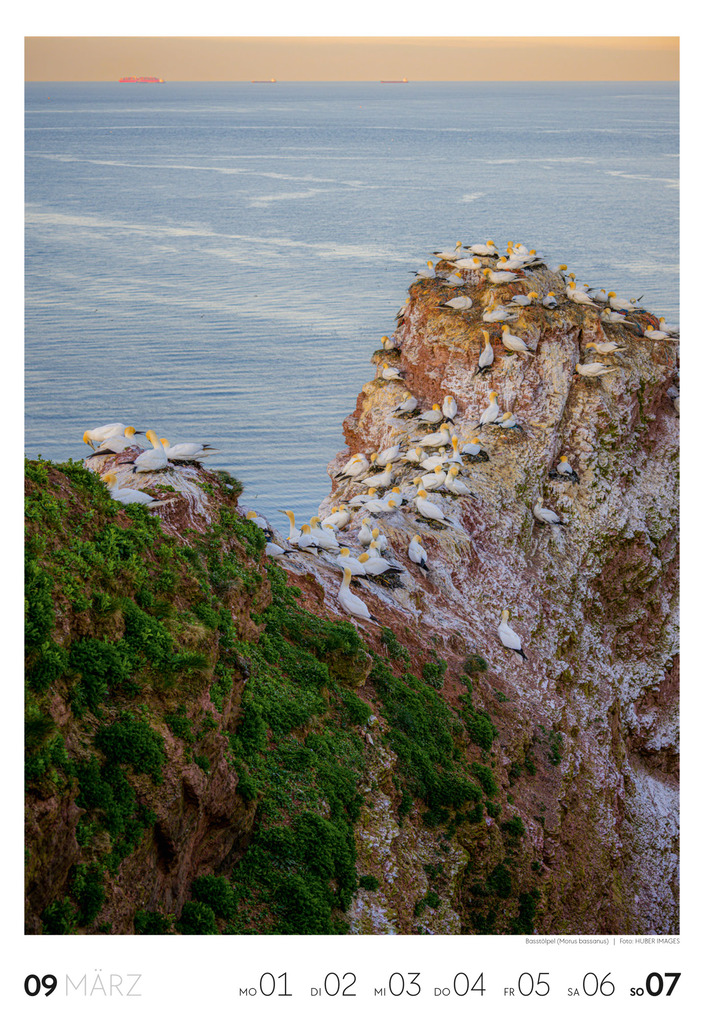 Weitere Ansicht: Natur Wochenkalender 2027 | Ackermann Kunstverlag GmbH