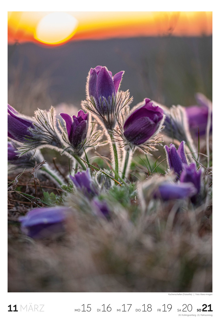 Weitere Ansicht: Natur Wochenkalender 2027 | Ackermann Kunstverlag GmbH