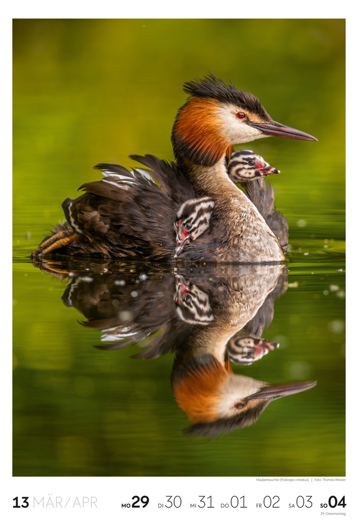 Weitere Ansicht: Natur Wochenkalender 2027 | Ackermann Kunstverlag GmbH