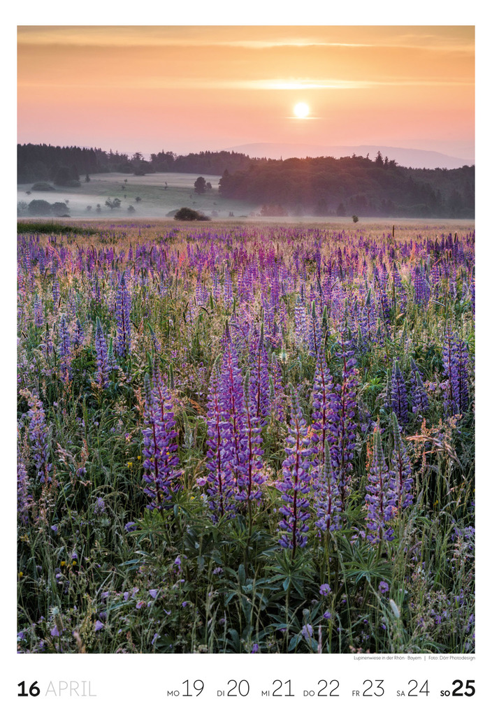 Weitere Ansicht: Natur Wochenkalender 2027 | Ackermann Kunstverlag GmbH