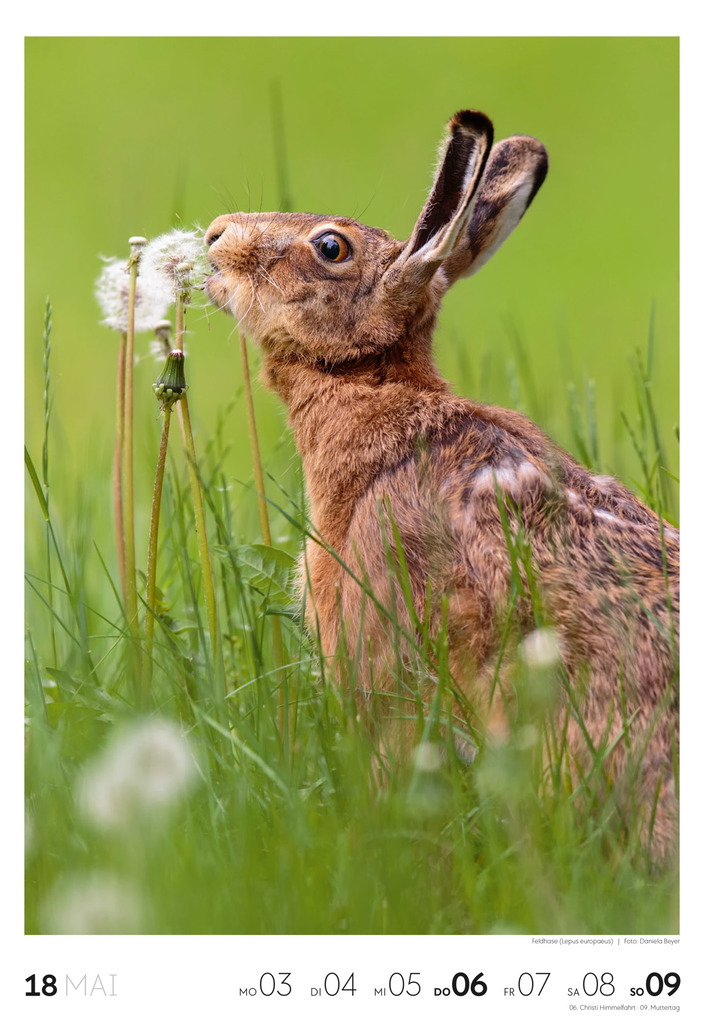 Weitere Ansicht: Natur Wochenkalender 2027 | Ackermann Kunstverlag GmbH